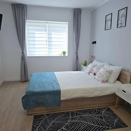 Casa Pavel Vilă *